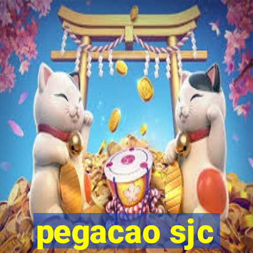 pegacao sjc